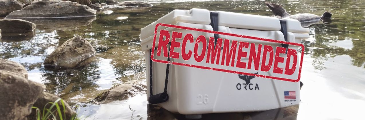 Review: Orca Coolers Chasertini Martini Glass