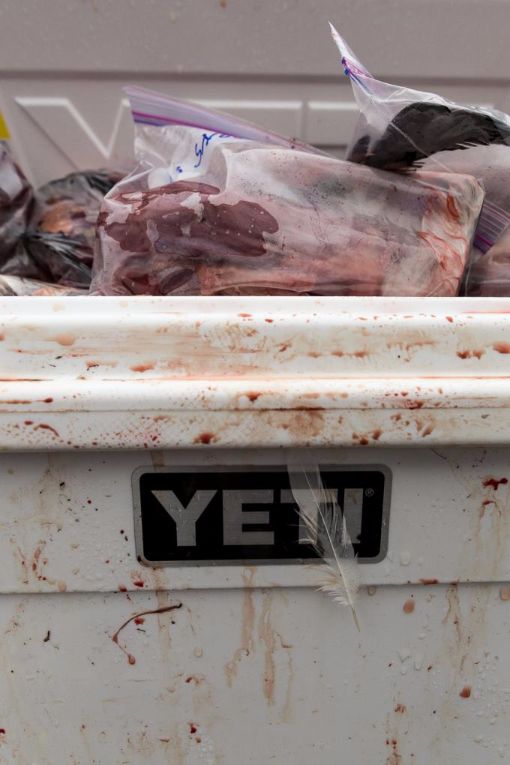 Yeti Hunting Cooler