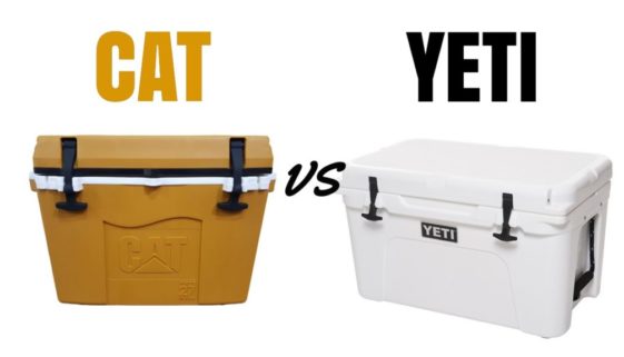 CAT vs Yeti