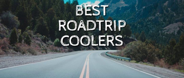 Best Roadtrip Coolers