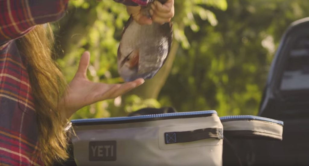 yetibackflipfish Hunting Waterfalls