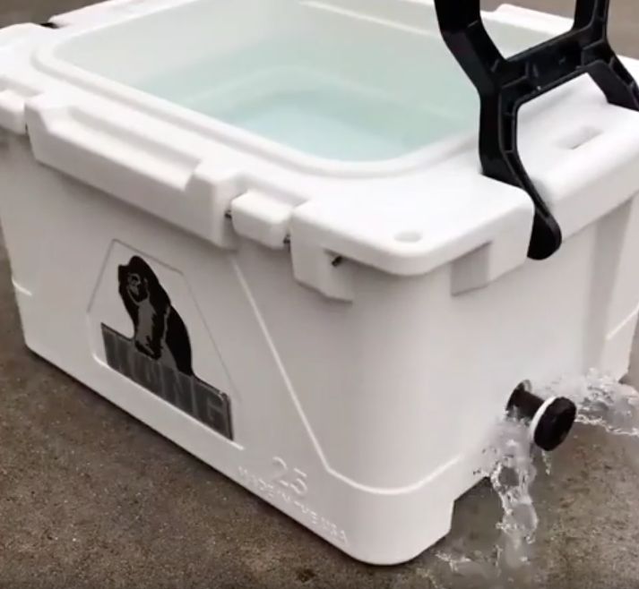 Should You Drain Water from a Cooler? (Surprising Result)