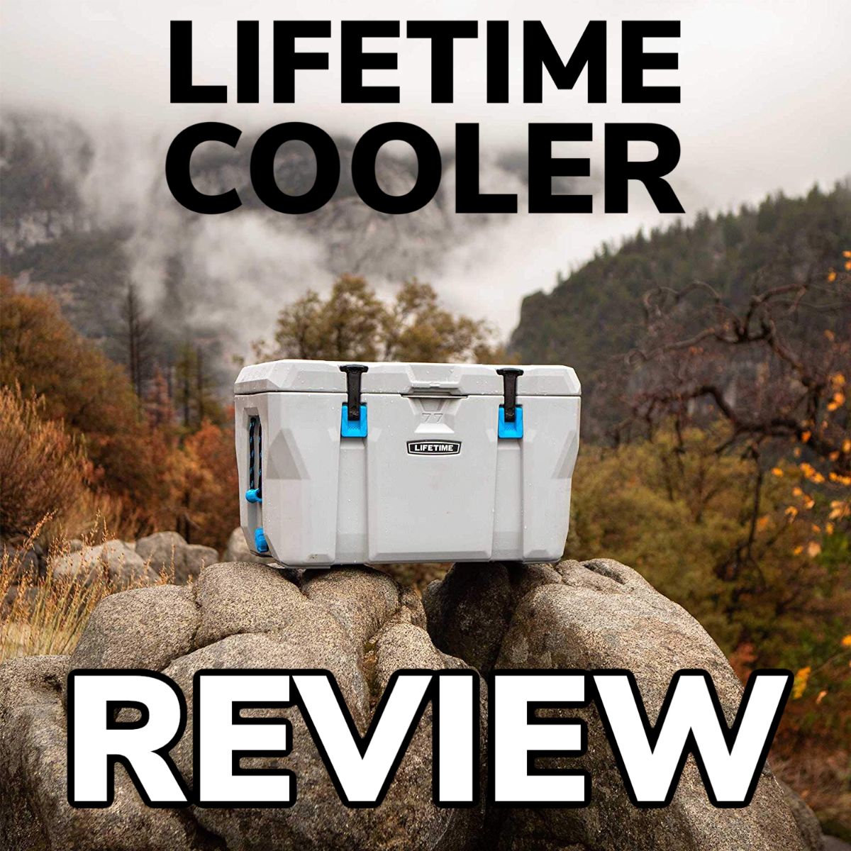 Lifetime 28 best sale cooler review