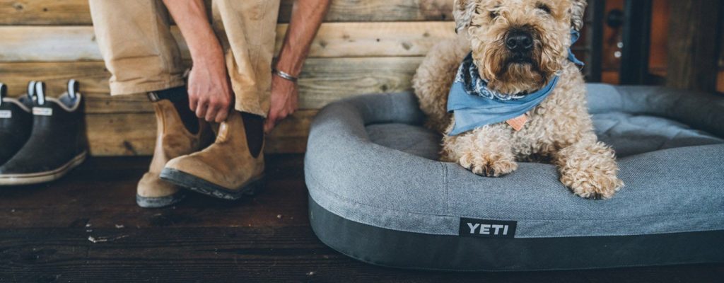 https://huntingwaterfalls.com/wp-content/uploads/2019/08/yeti-trailhead-with-dog-in-bed-1024x400.jpg