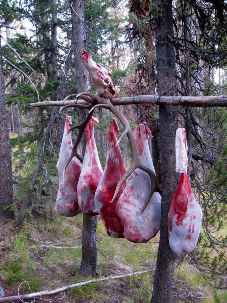 hanging elk meat to cool 1 What Size Cooler Do You Need For Elk? EXPLAINED IN DETAIL