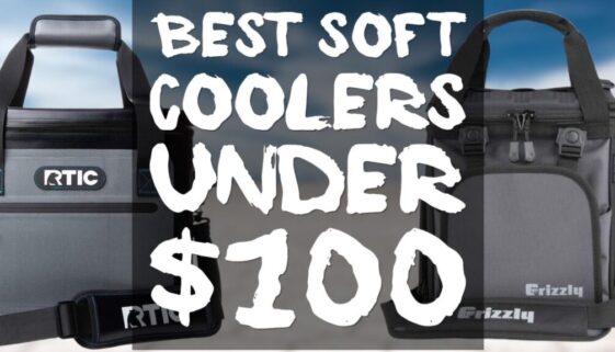 best-soft-coolers-under-100