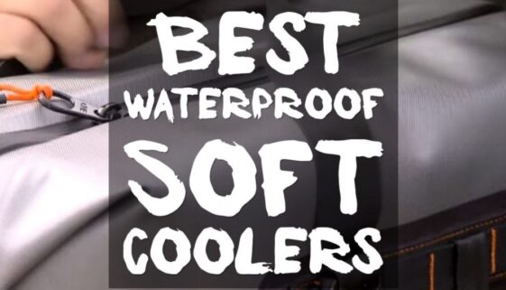 best-waterproof-soft-coolers