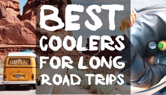 best-coolers-for-long-road-trips