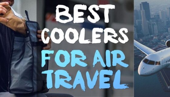 best-coolers-for-air-travel