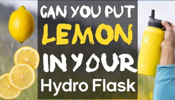 can-you-put-lemon-in-your-hydro-flask