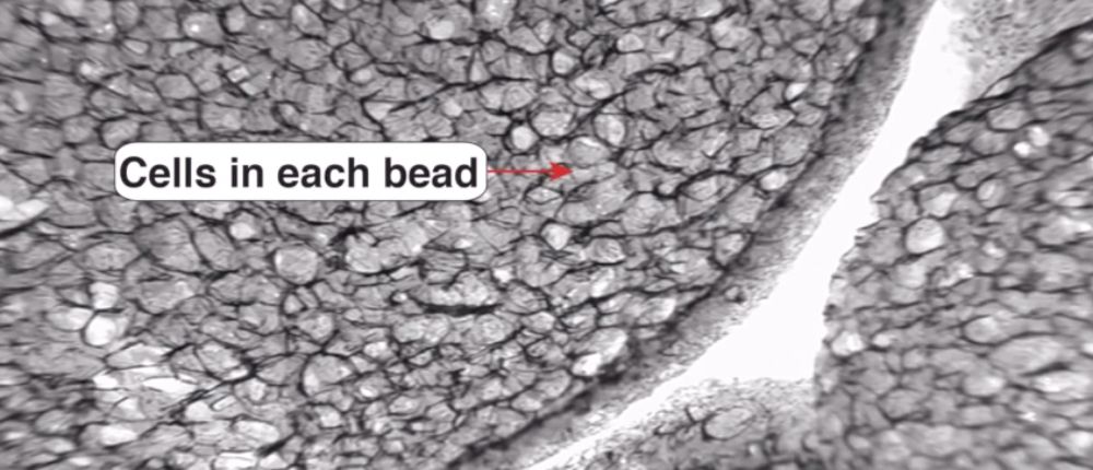 Styrofoam Insulation Up Close Under A Microscope Hunting Waterfalls