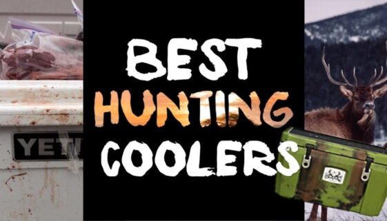 Best Hunting Coolers