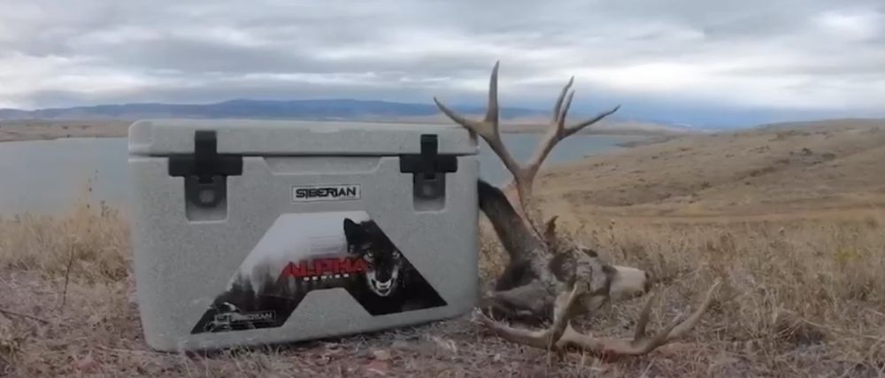 Siberian Alpha hunting cooler with elk horns game meat