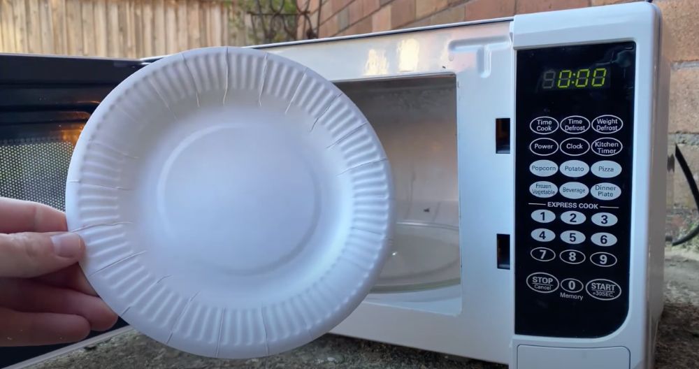 Can You Microwave Paper Plates? Are They A Fire Hazard? - Hunting Waterfalls