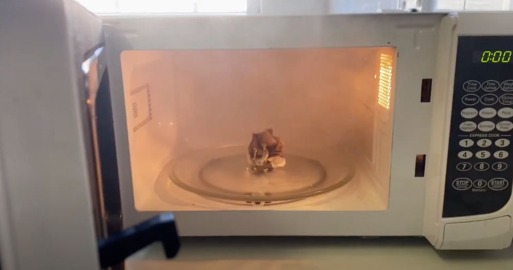 Paper towel burned and smoking in microwave