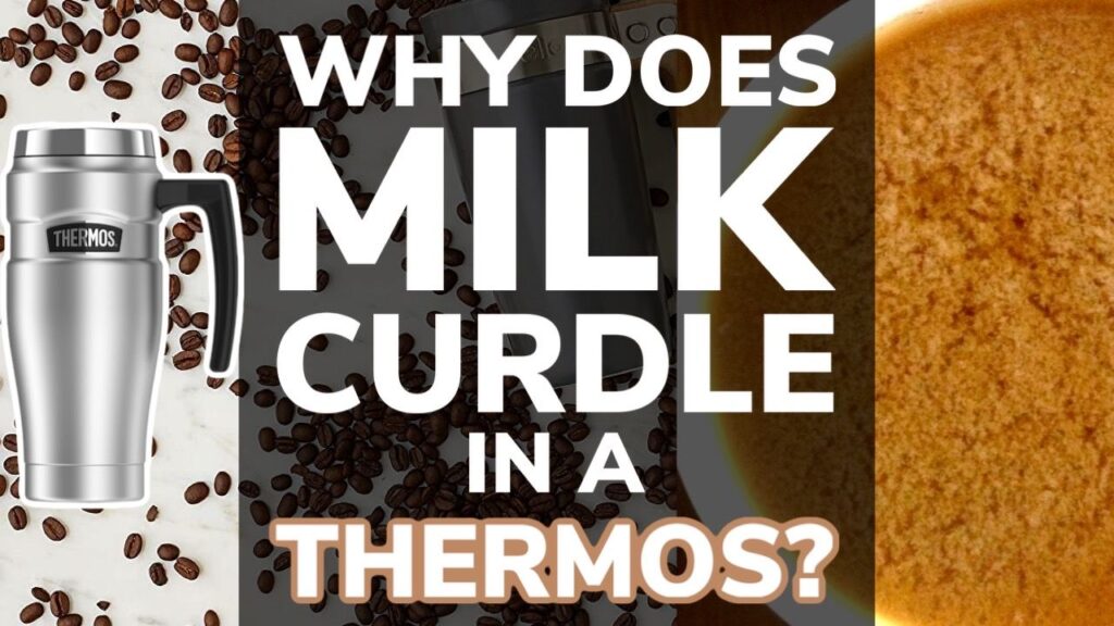 Why Does Milk Curdle In a Thermos Flask?