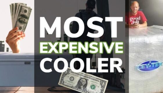 Most Expensive Cooler