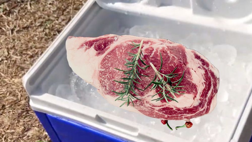 https://huntingwaterfalls.com/wp-content/uploads/2020/09/raw-meat-in-a-little-cooler.jpg