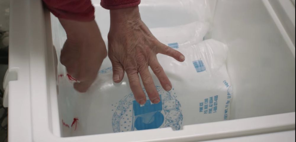 Photo of bags of ice at the bottom of a cooler