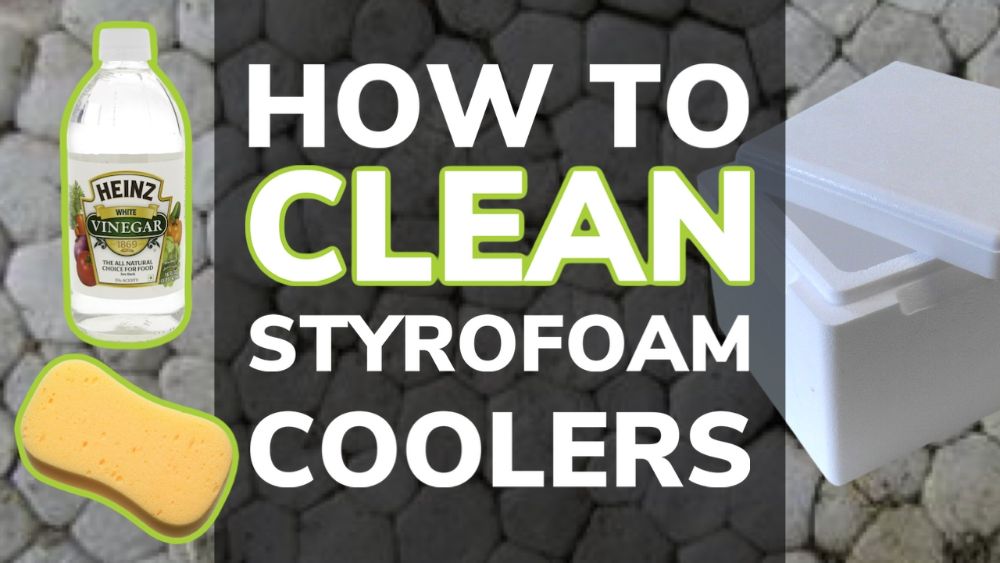 How to Clean Styrofoam Coolers