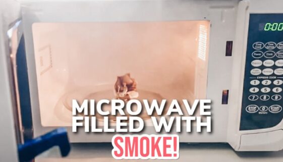 What To Do If Your Microwave Is Filled With Smoke