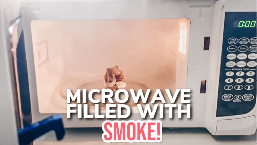 What To Do If Your Microwave Is Filled With Smoke - Hunting Waterfalls