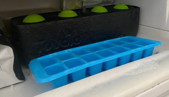 Best Ways To Store Ice Cubes in Freezer (Stop Sticking & Bad Taste)