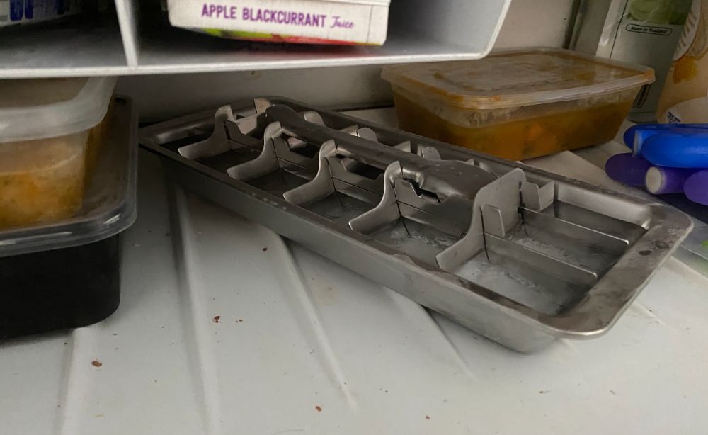 https://huntingwaterfalls.com/wp-content/uploads/2022/04/stainless-steel-metal-eco-ice-cube-tray-in-freezer-with-ice.jpg