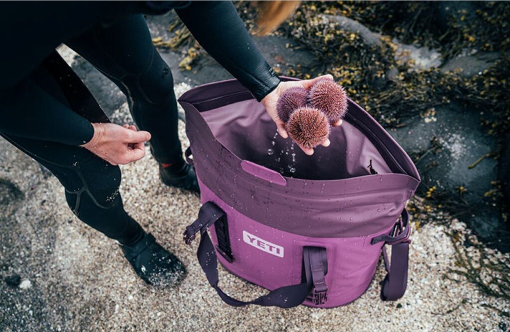 https://huntingwaterfalls.com/wp-content/uploads/2022/06/yeti-nordic-purple-m20-backpack-cooler-1024x666.jpg