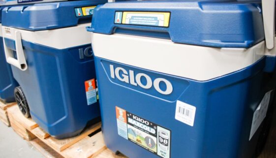 11 Problems With Igloo Coolers (Read Before You Buy)