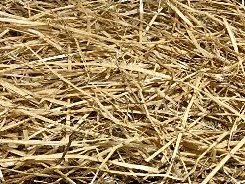 100% Natural Wheat Straw Grass (4LB)