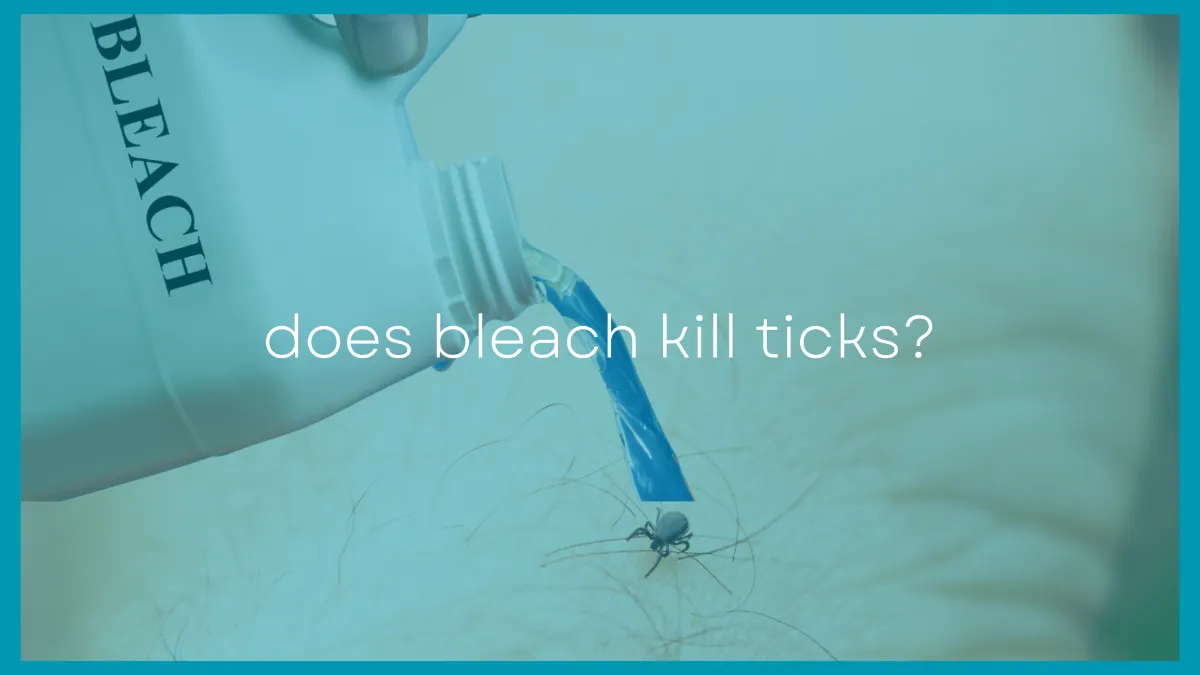 Does Bleach Kill Ticks? Using Bleach To Kill Ticks