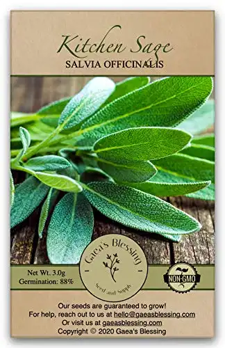 Gaea's Blessing Seeds - Sage Seeds (1.5g)