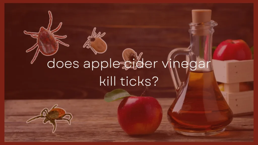 does-apple-cider-vinegar-kill-ticks